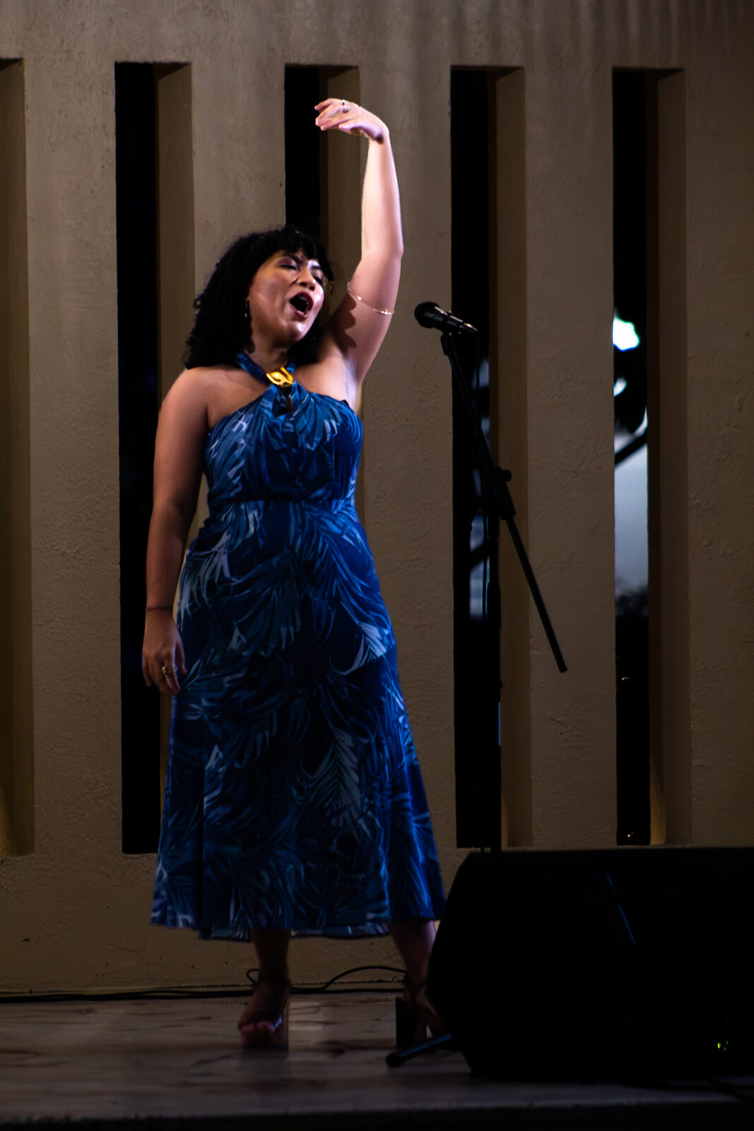 Concierto en Plaza Antonia Quiñones (Stella Maris) — 7